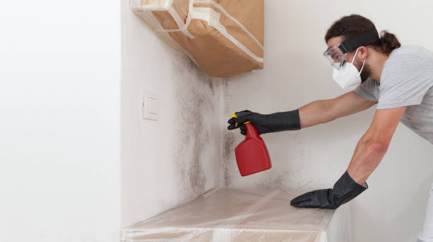 Professional Attic Mold Removal technician working in Pineville, NC