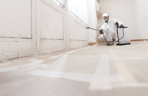 24/7 Emergency Attic Mold Removal experts in Pineville, NC