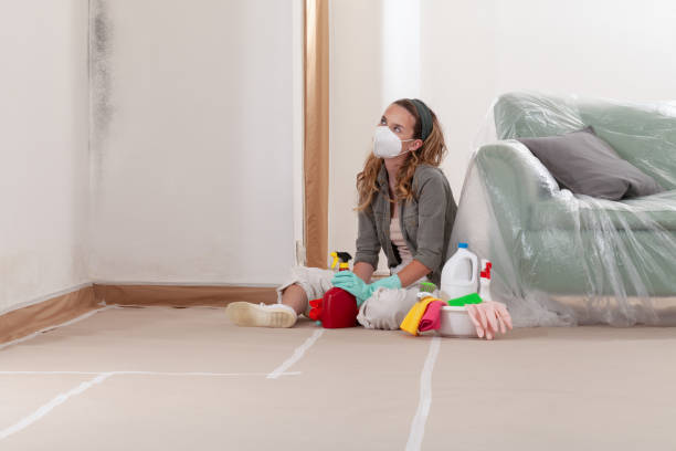 Trusted Attic Mold Removal service in Pineville, NC - Cheap Mold Removal