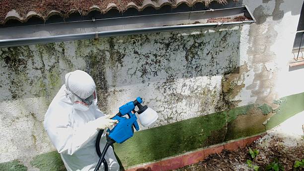 Top rated local Mold Remediation specialists in Pineville, NC